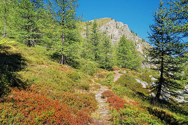 Trekking/Camminate Valle Maira - Monte Bert - Valle Maira - Piemonte